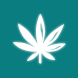 Cannabis