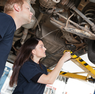 Welcher Job passt zu dir?