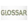 Glossar
